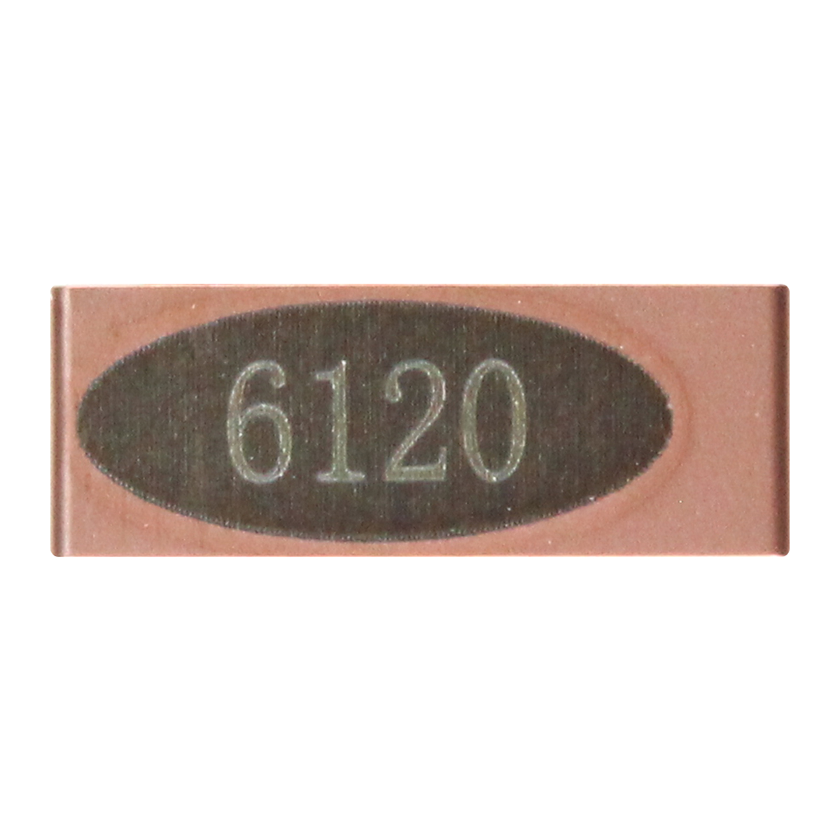 SNMG120404-PM-TP6120-(5)